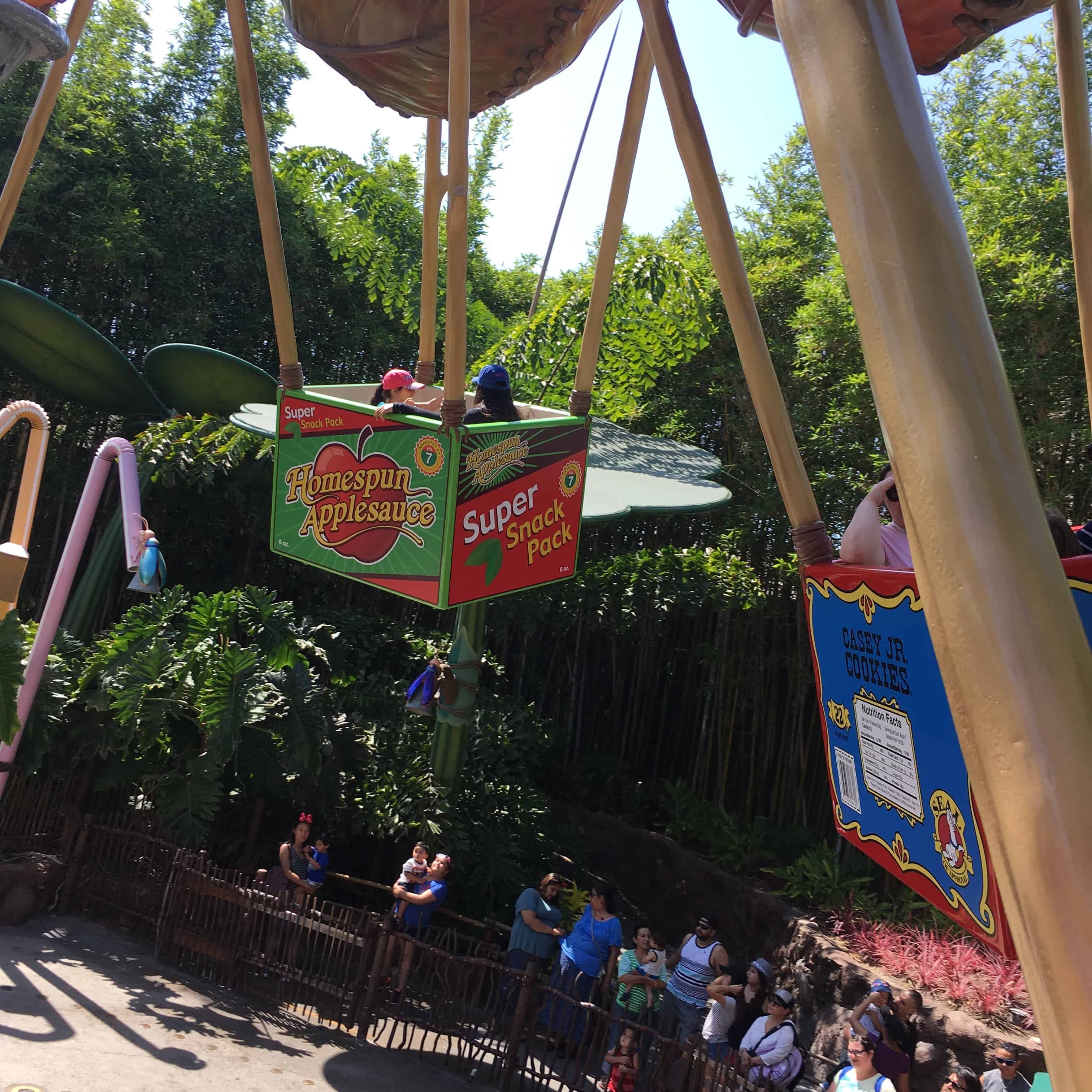 Flik's Flyers