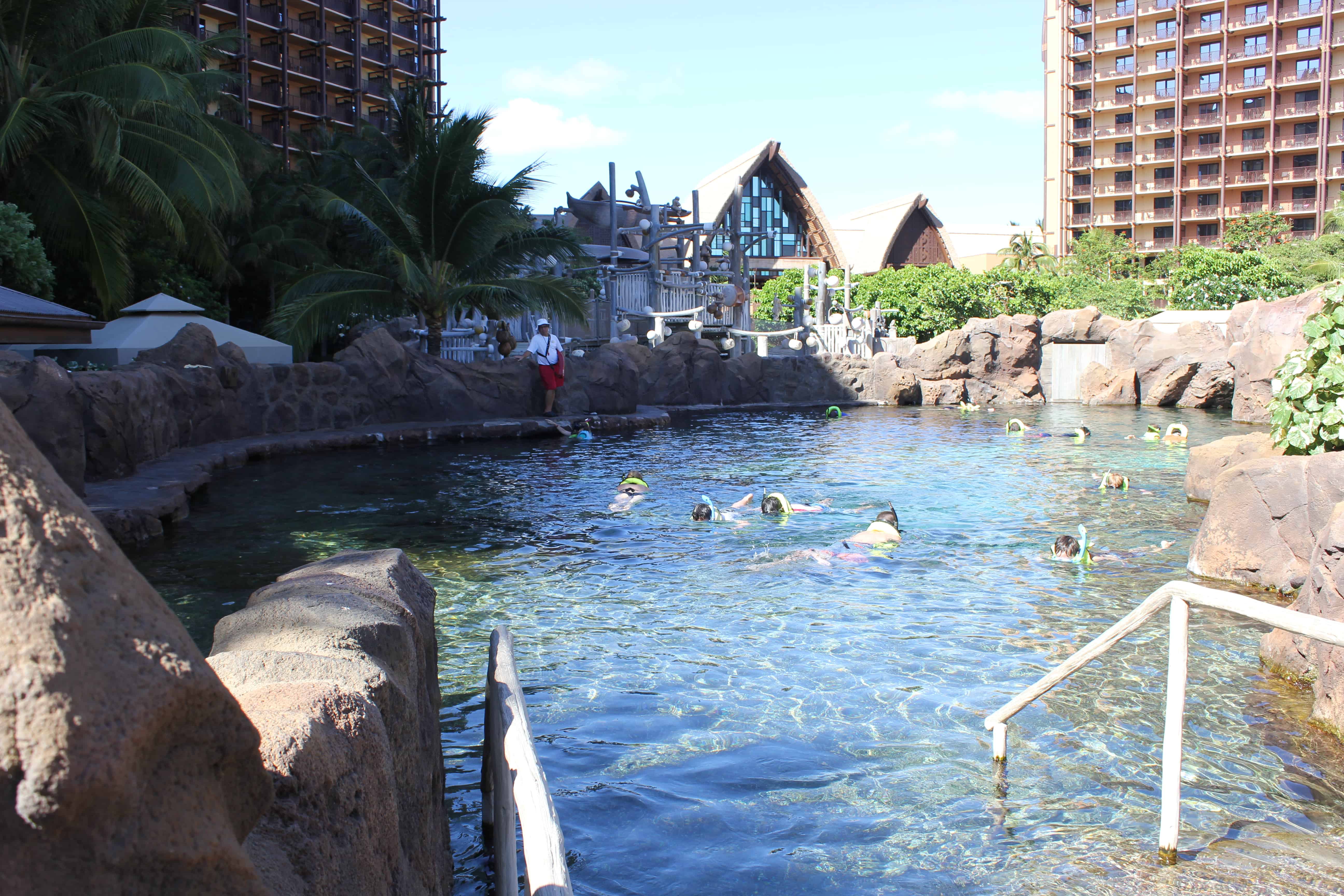 Rainbow Reef