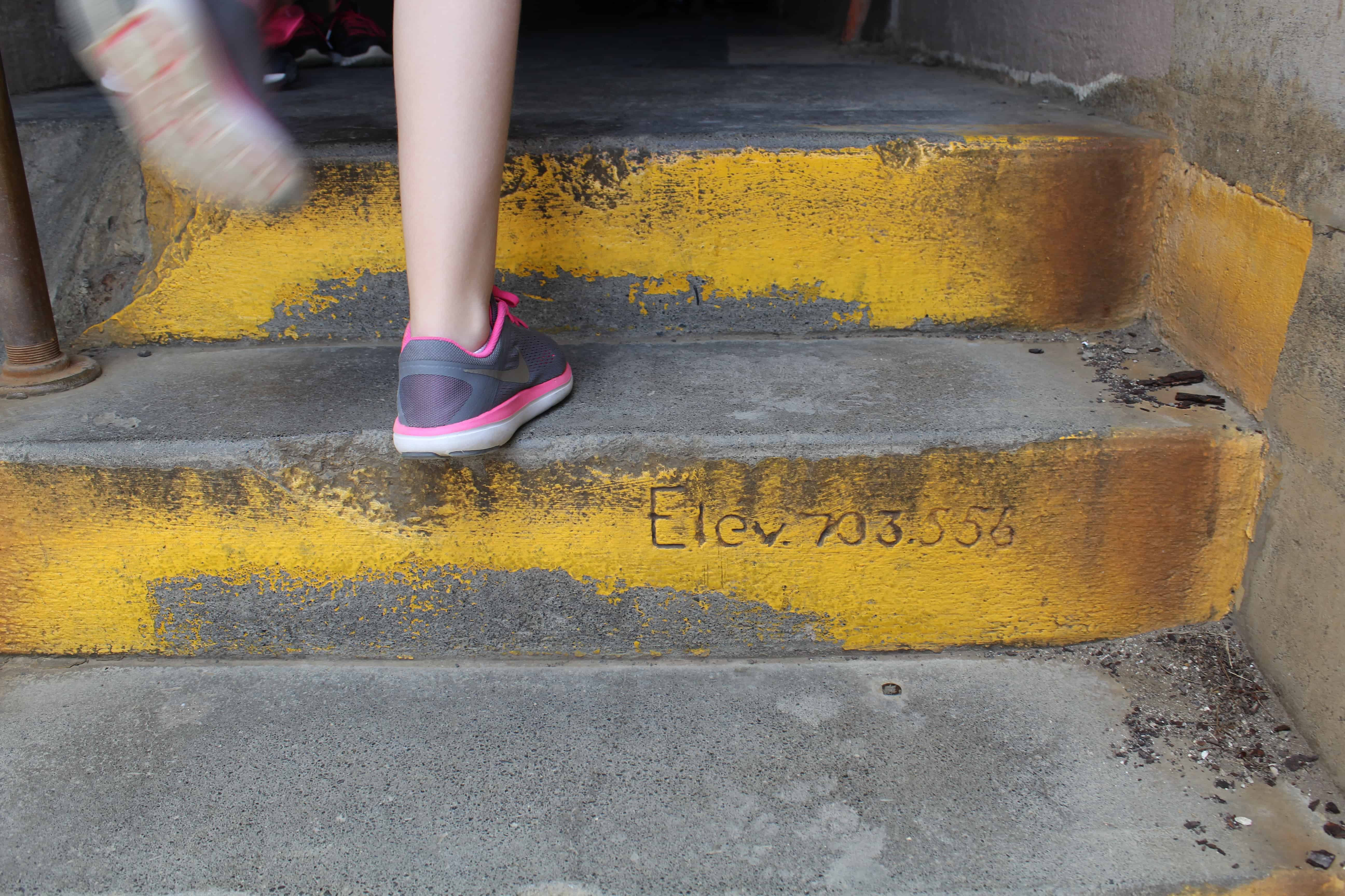 Steps