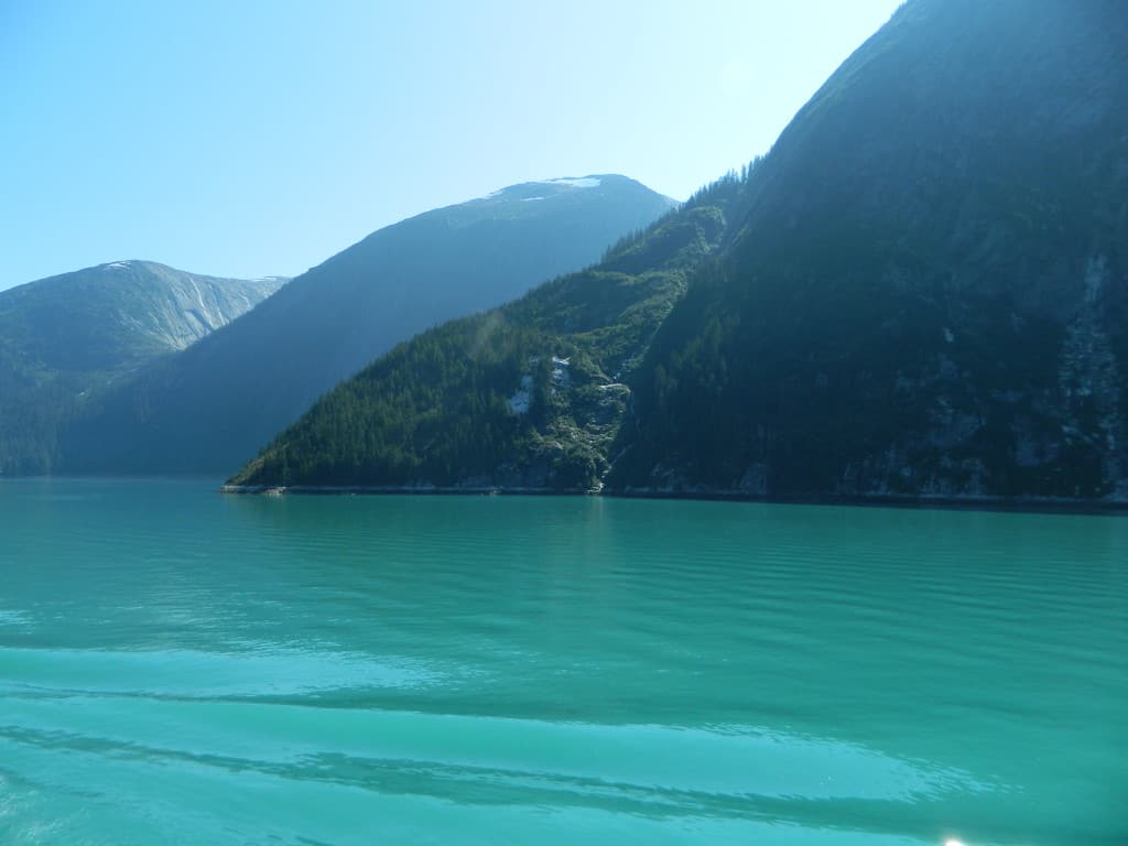 DSCN0971