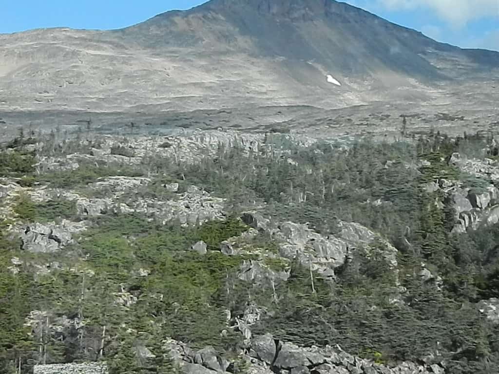 DSCN1272