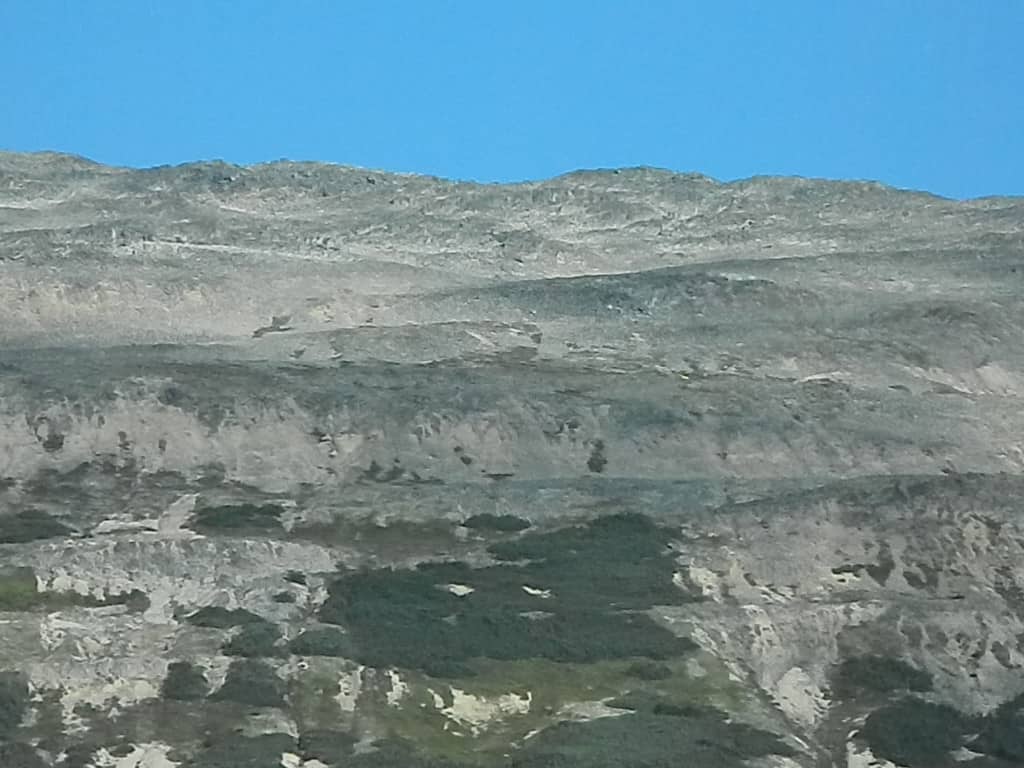 DSCN1282