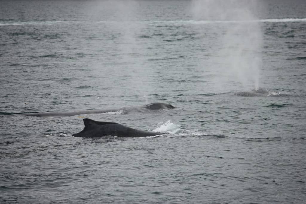 Pod surfacing