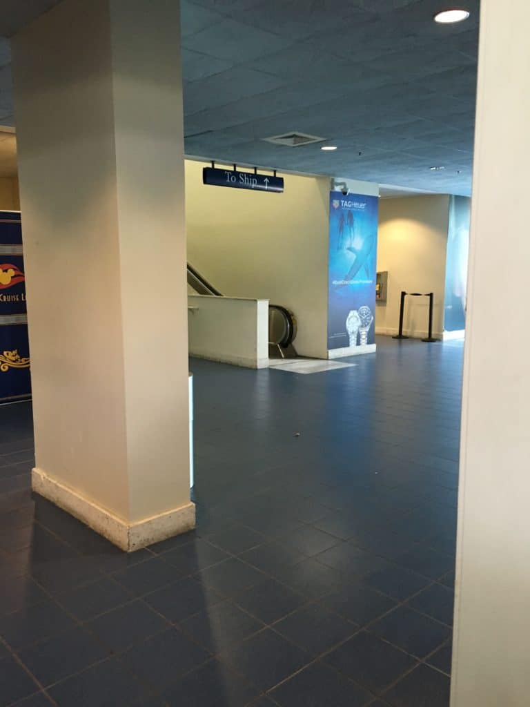 View into the Terminal