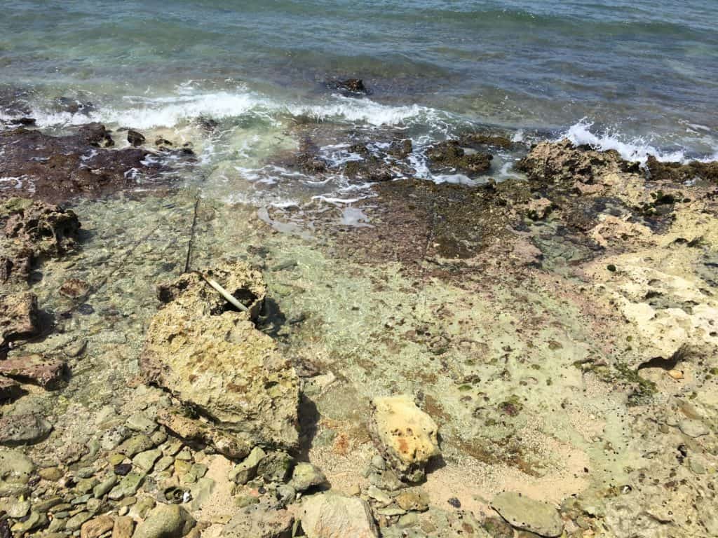 Rocky shore of Cozumel