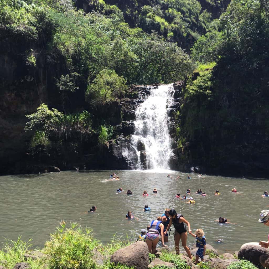 Waterfall at Waimea Valley