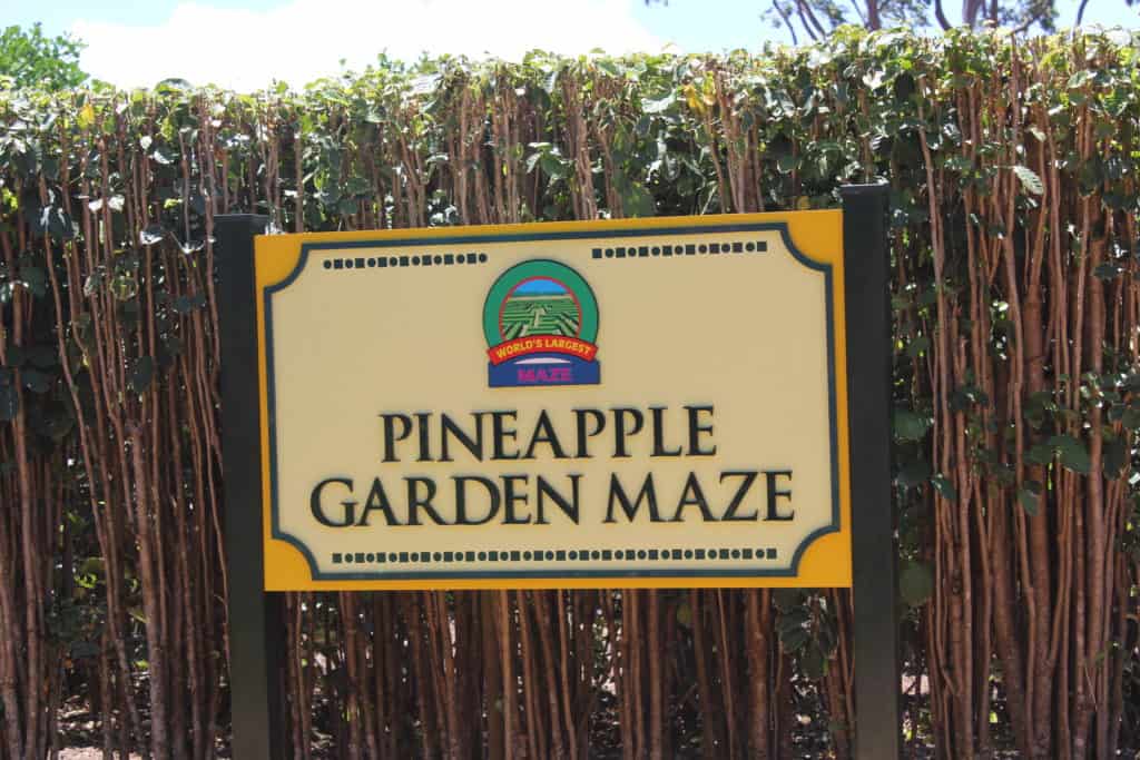 Pineapple Maze