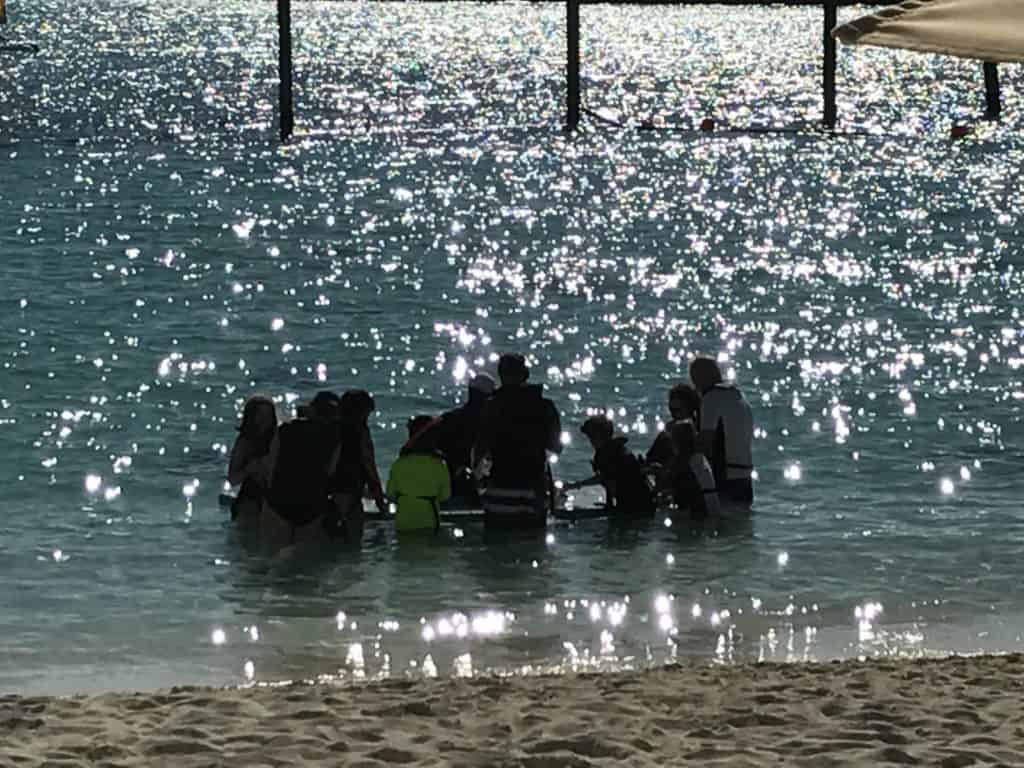 Feeding Platform in the Water