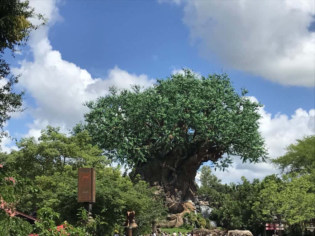 Tree of Life
