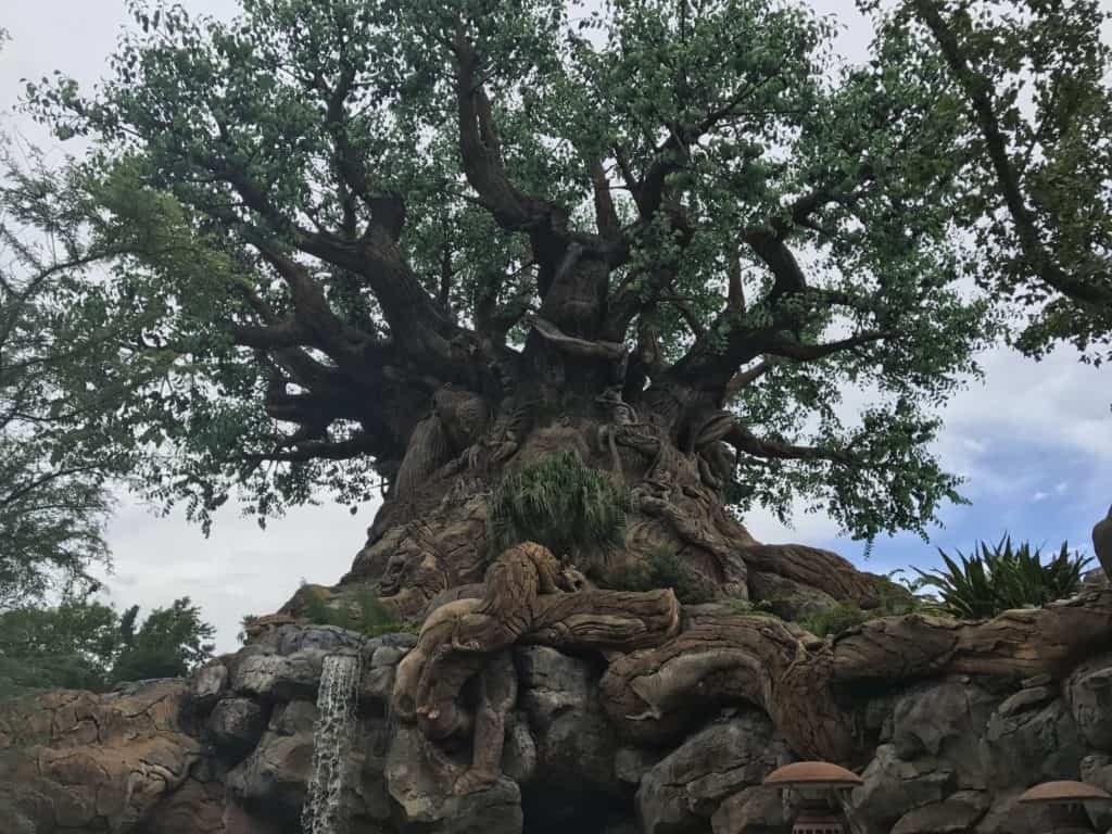 Backside of the Tree of Life