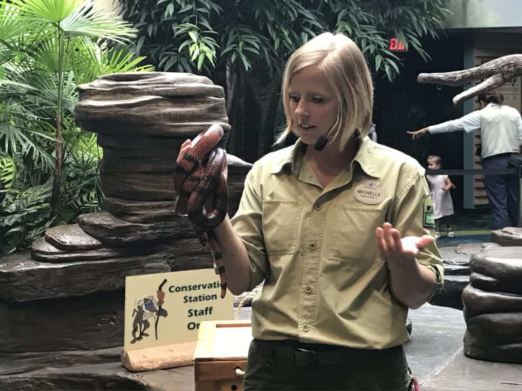 Snake Demonstration at Rafiki's Planet Watch