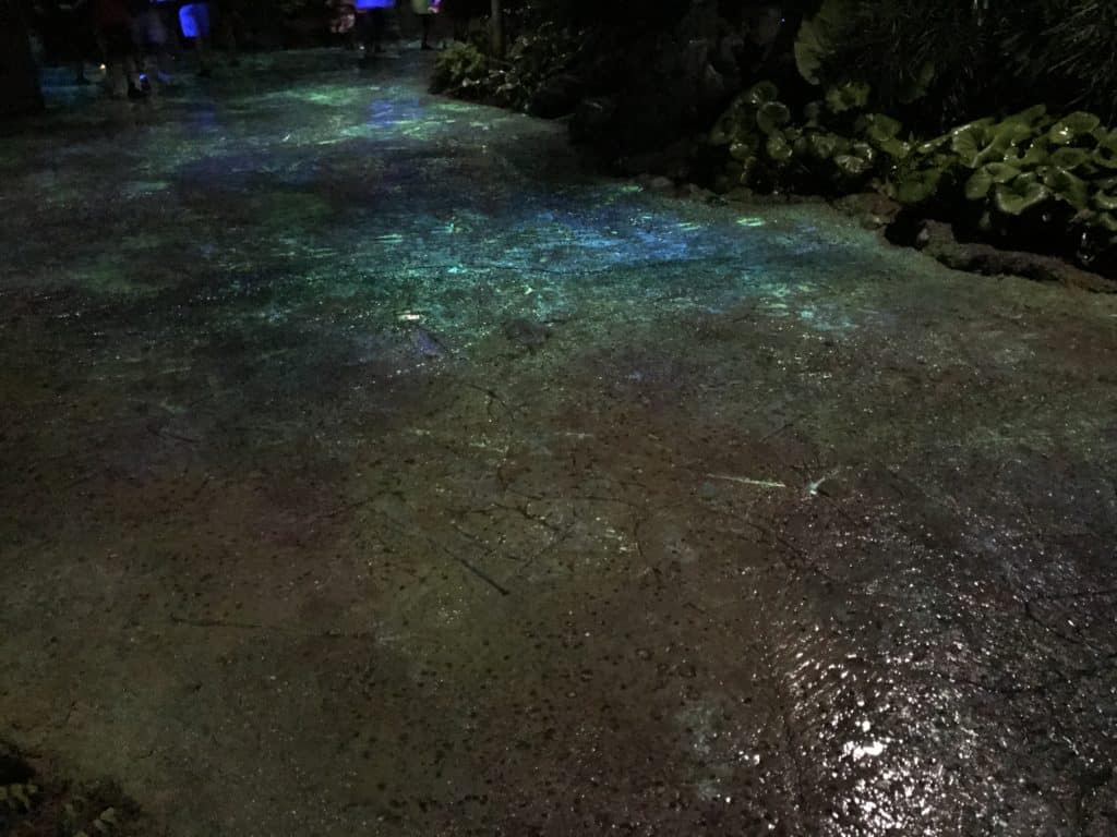 Bioluminescence Effects