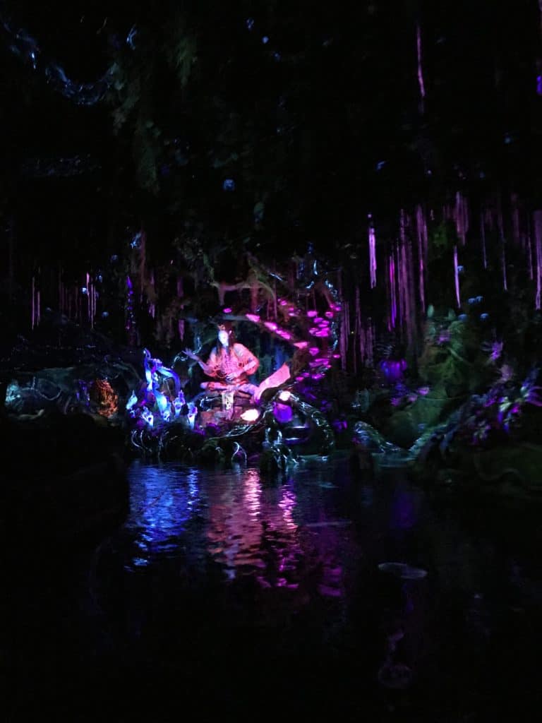 Navi River Journey