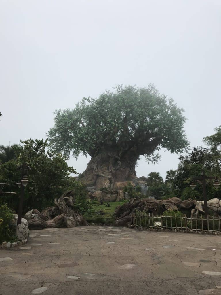 Tree of Life