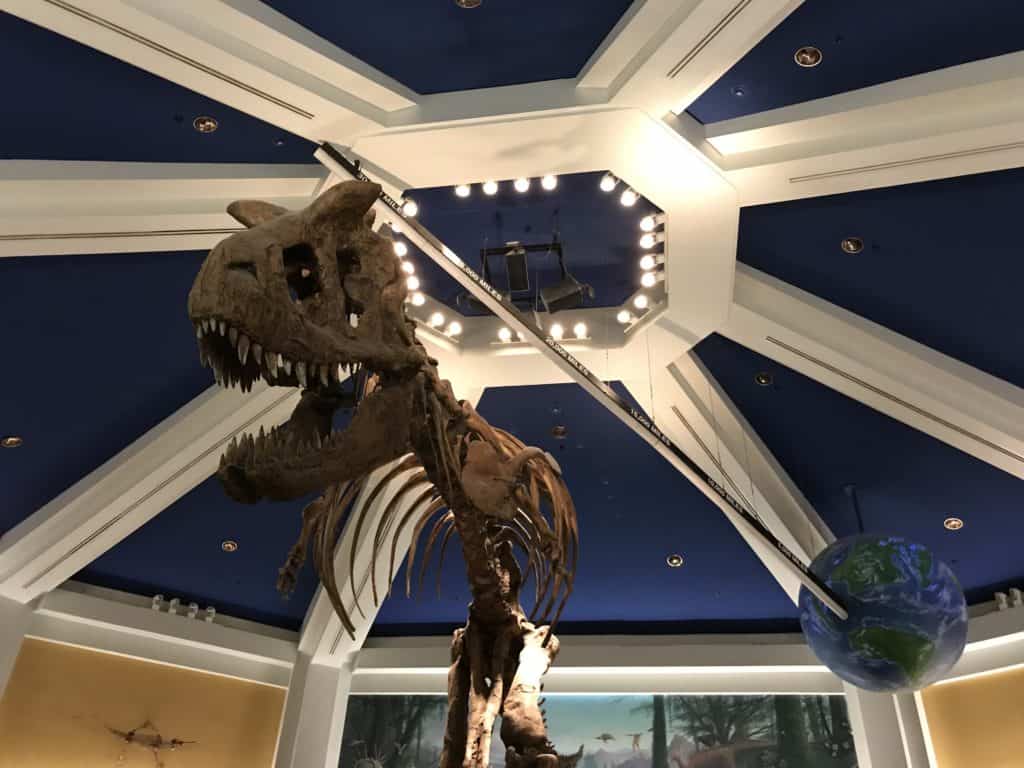 Dinosaur Entrance