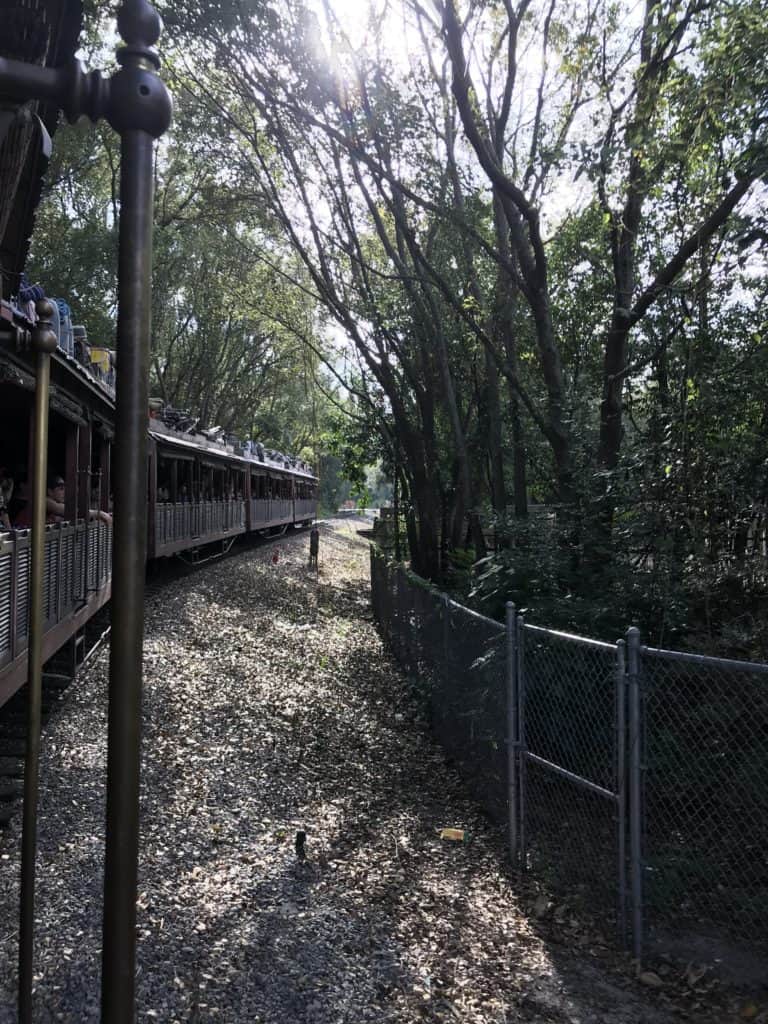 Wildlife Express Train