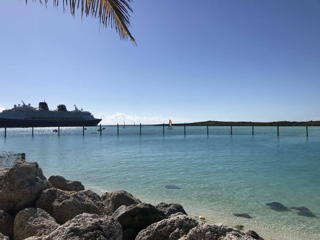 Our View of the Magic