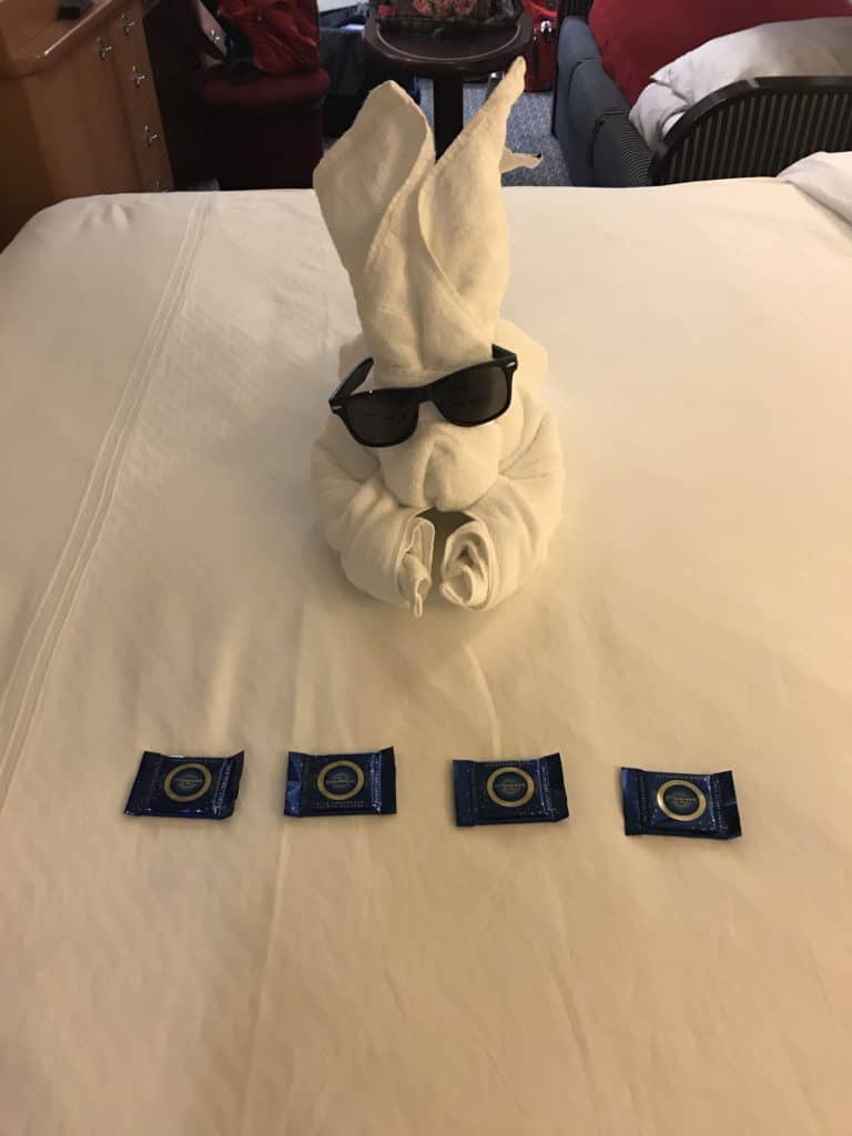 Last Towel Animal for the Cruise