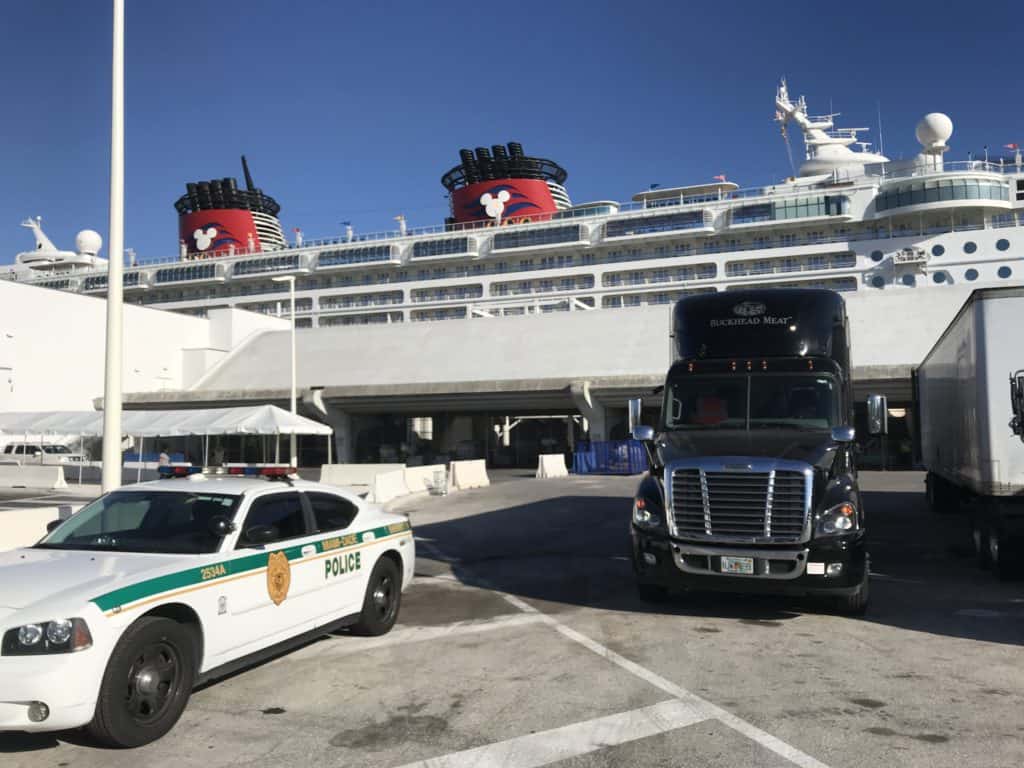 Disney Magic