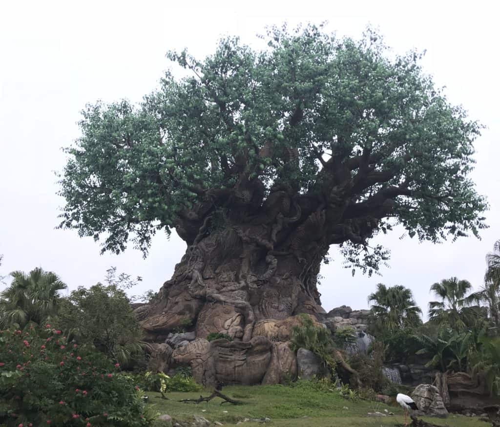 Tree of Life