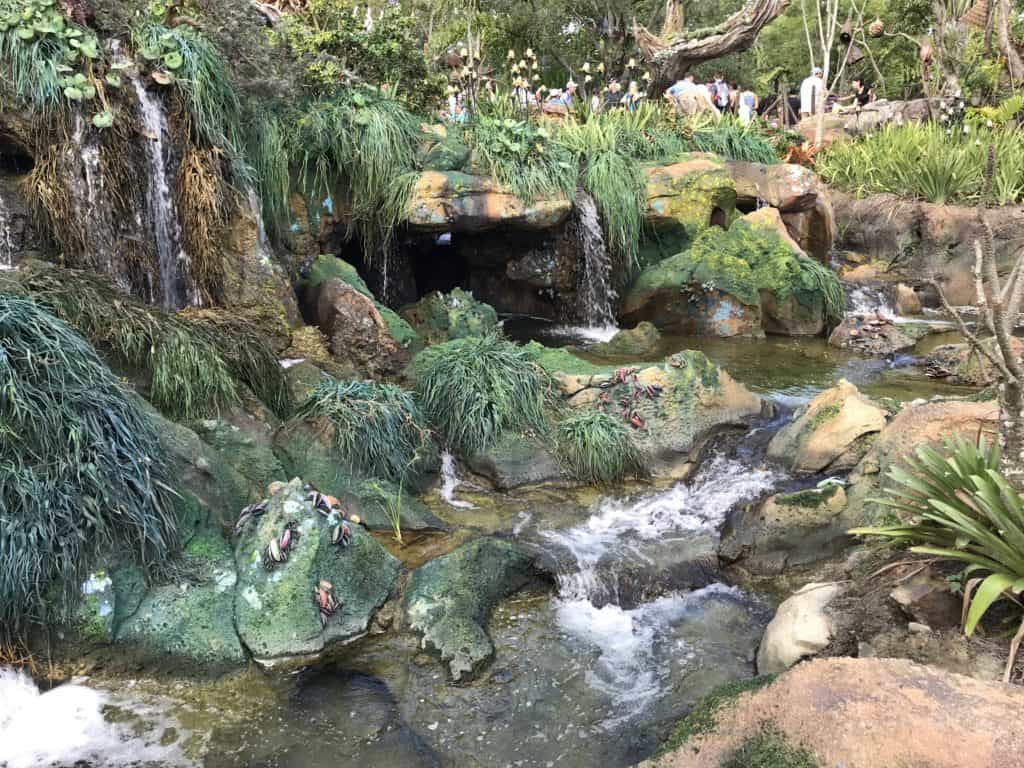 Flora of Pandora