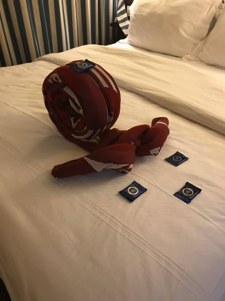 Towel Snail
