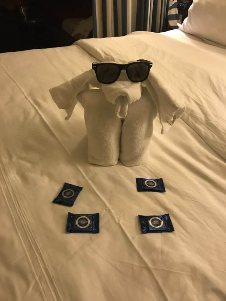 Towel Dog