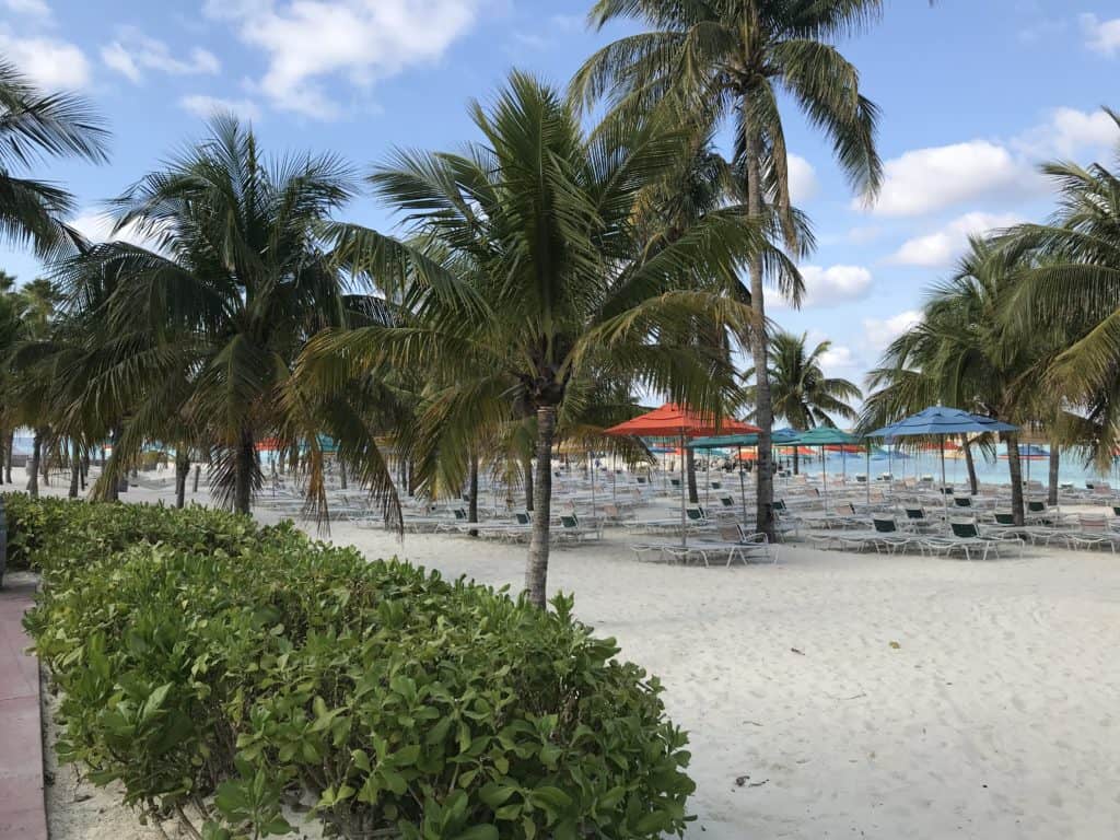 Chairs and Umbrellas at the Family Beach