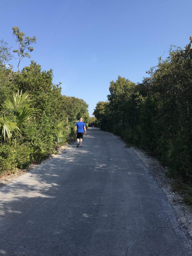 Bike Path
