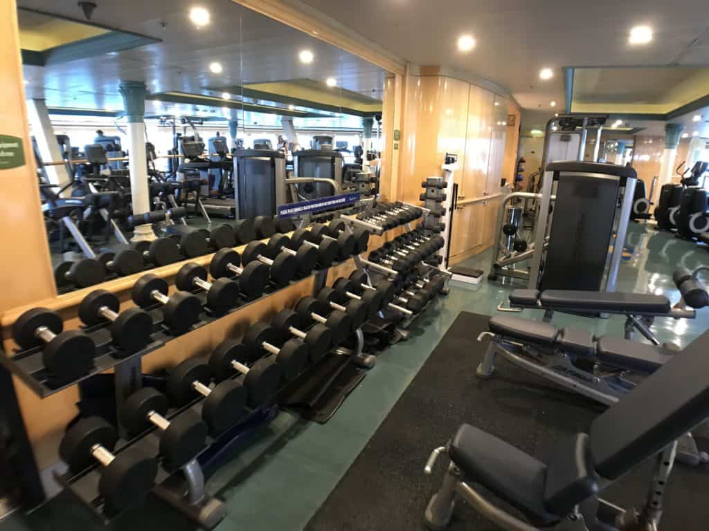 Free Weights and Benches