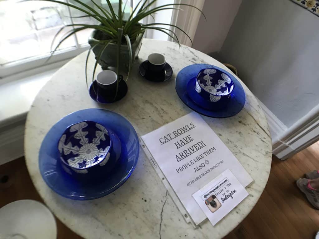 Cat Bowls