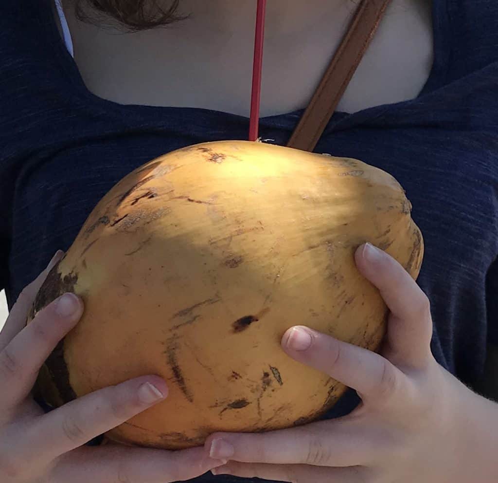 Coconut