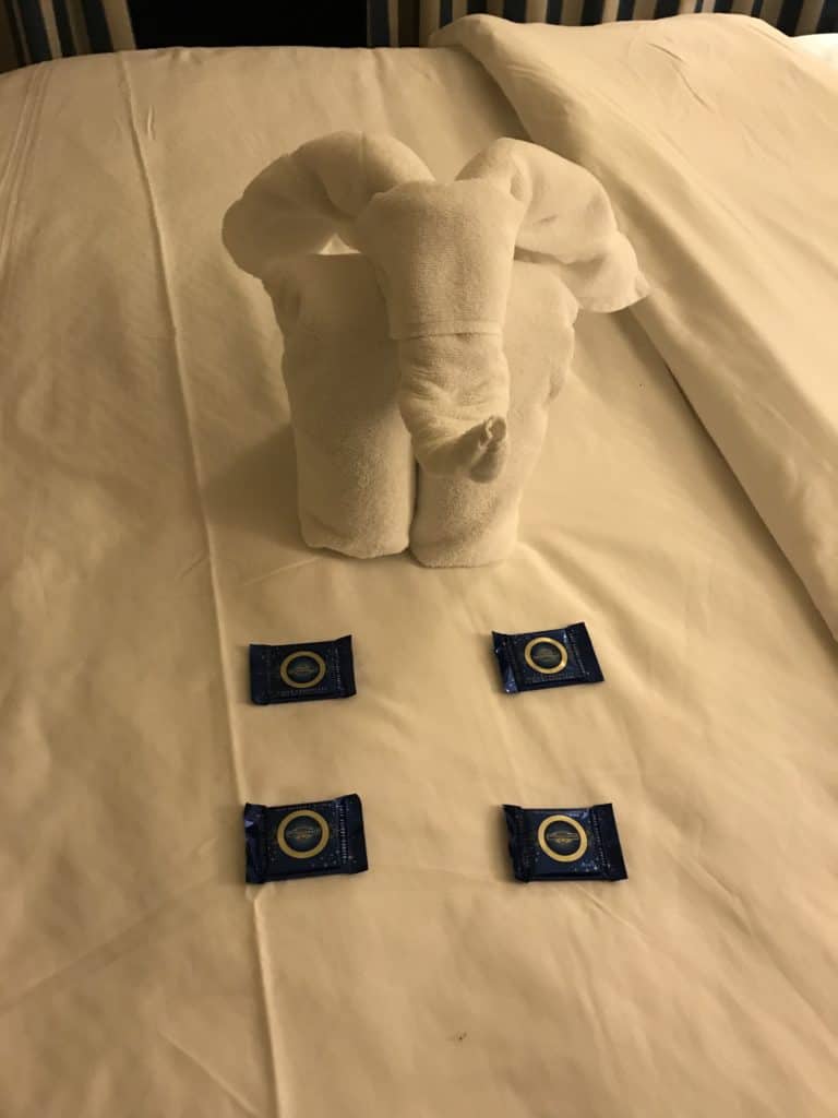 Towel Animals