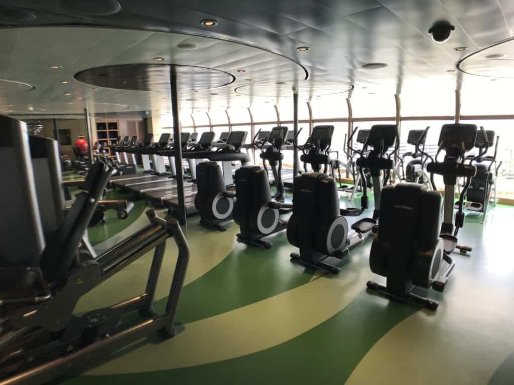 Cardio Machines in the First Two Rows and Weight Machines in the Back