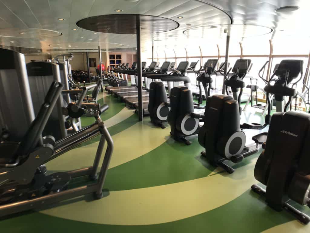 Cardio Machines in the First Two Rows and Weight Machines in the Back