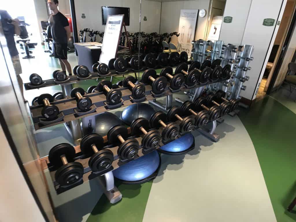 Free Weights