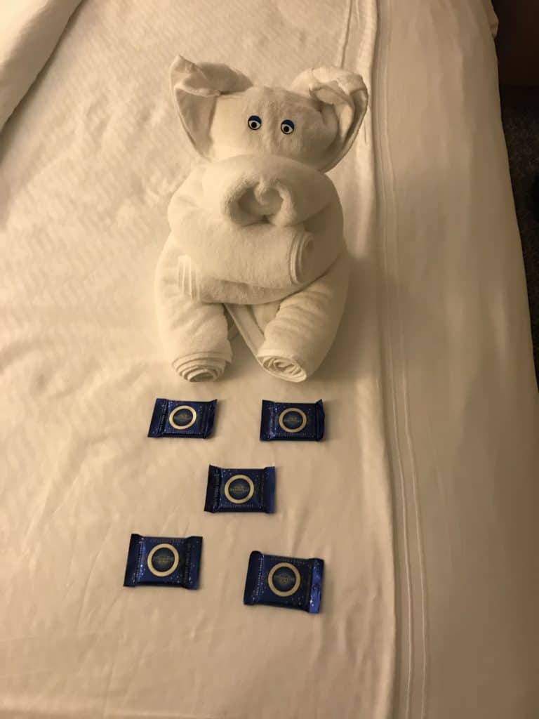 Tonight's Towel Animal