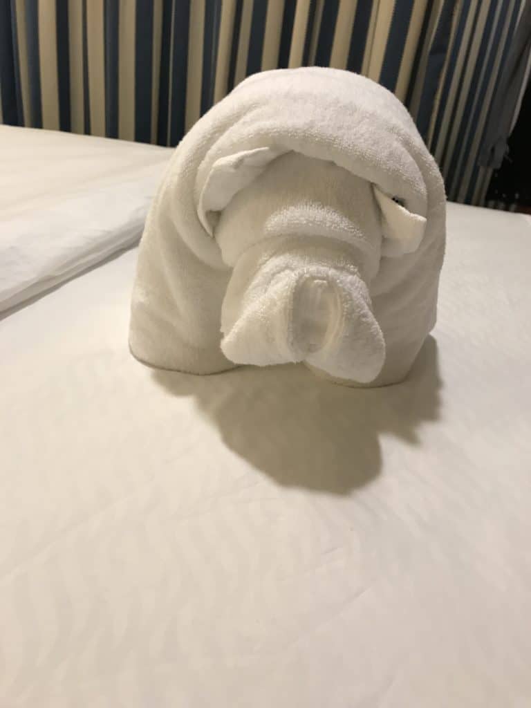 Towel Animal