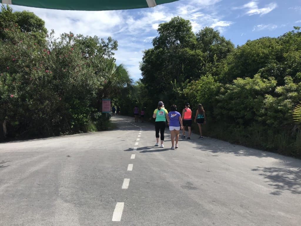 Pathway to the Runway