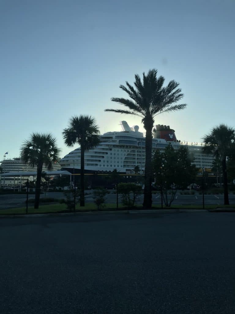 Goodbye Disney Fantasy