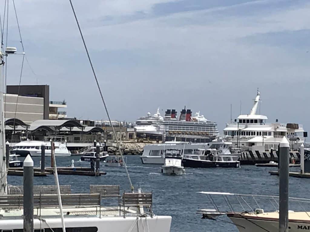 Disney Wonder