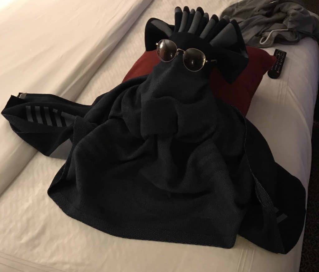 Towel Animal