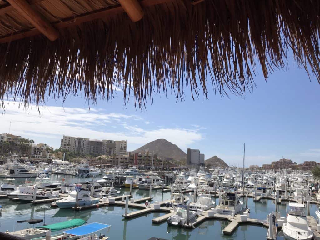 View From Senor Frog's