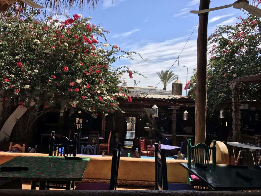 Lunch View