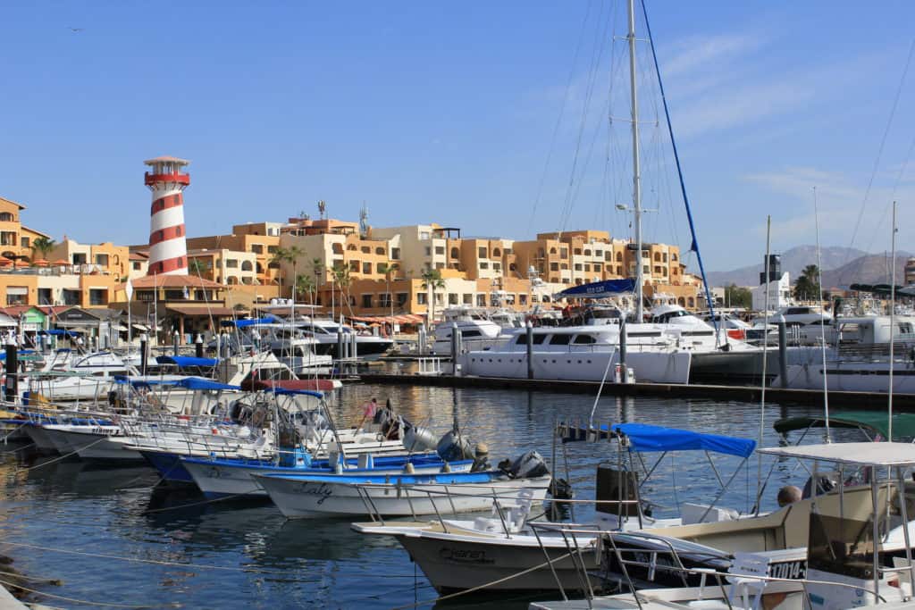 Harbor View