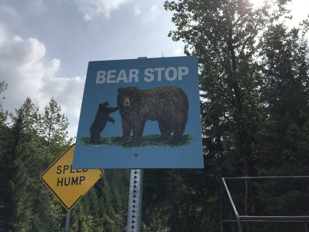 Bear Stop