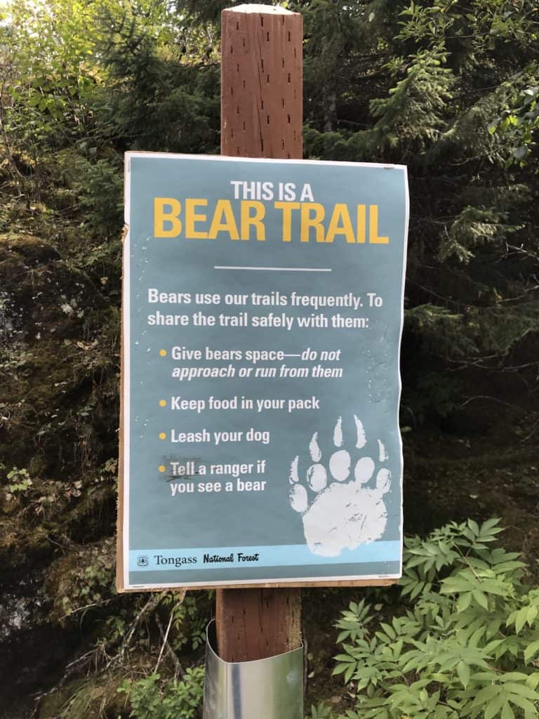Bear Trail