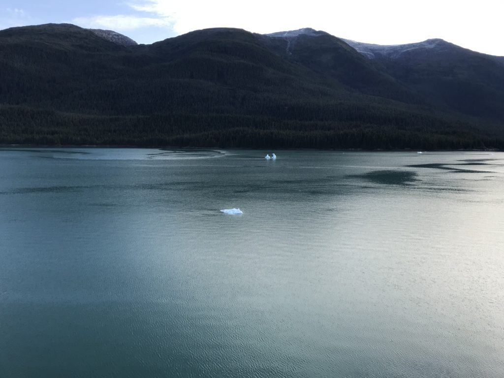Heading into Endicott Arm