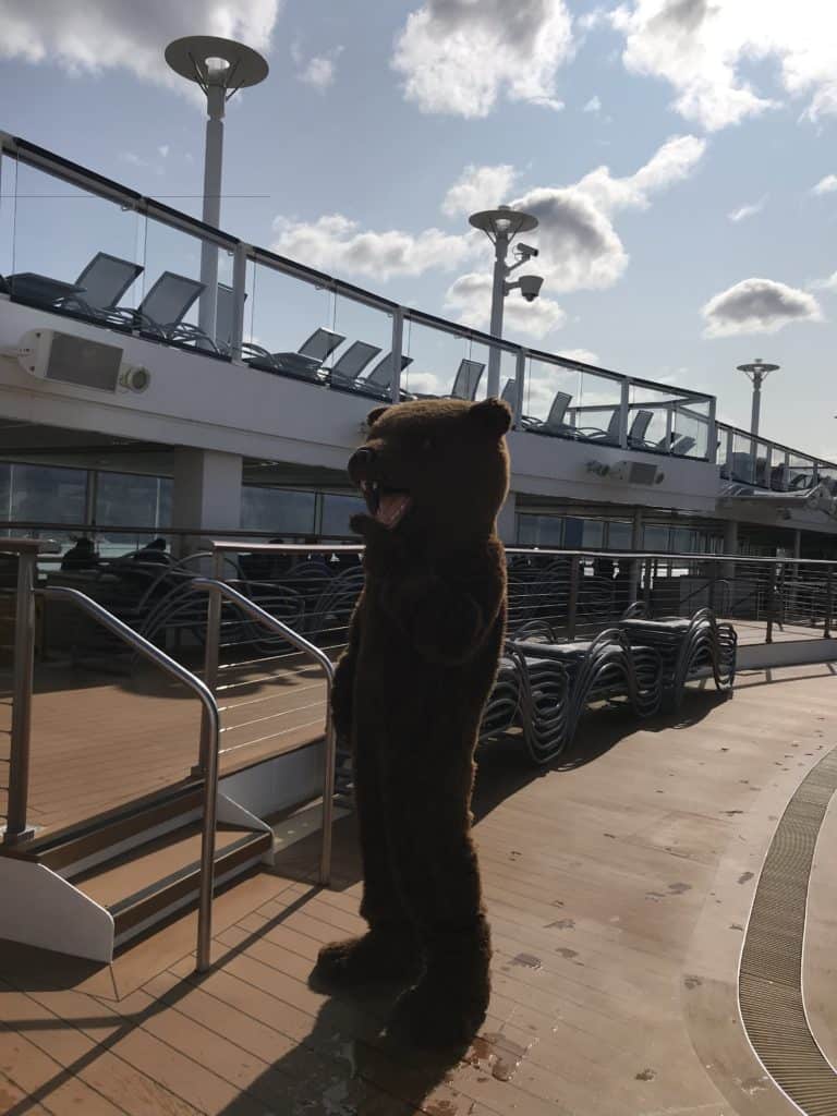 Royal Caribbean Bear