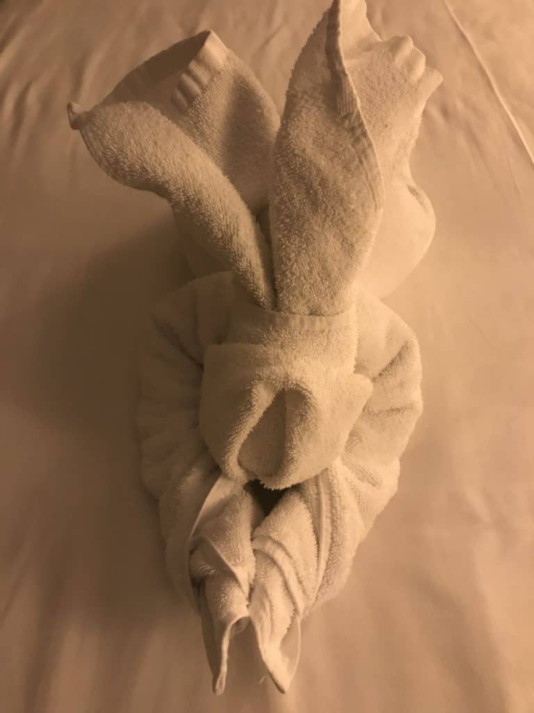 Towel Animal